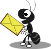 Ant